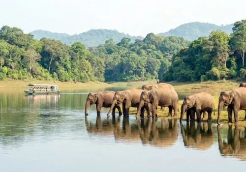 Kerala Wildlife Safari Tours and National Parks