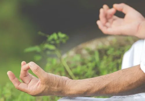 Ayurveda Wellness