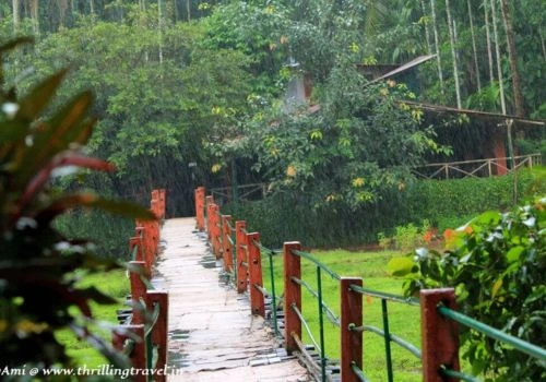 Spice Plantation tours