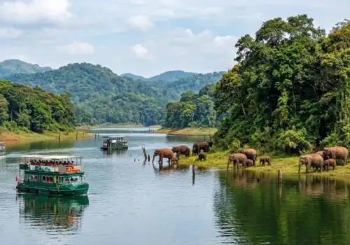 Thekkady Periyar Wildlife Sanctuary and Spice Plantation Tour