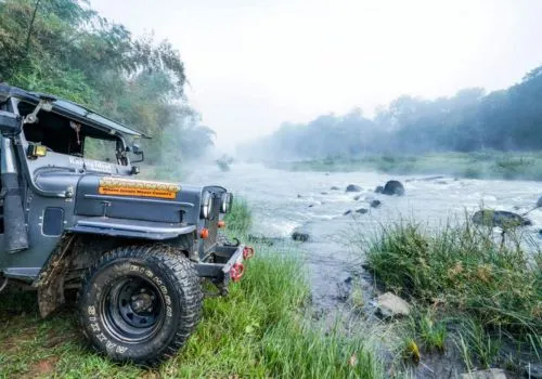 Wayanad Hills and Coffee Plantations Kerala