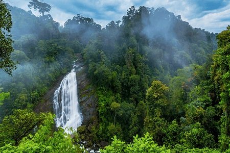 Kerala Waterfalls